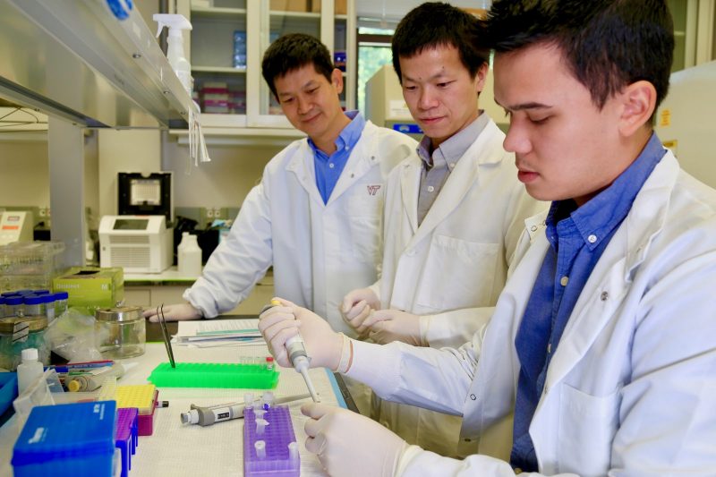 (from left to right) Hehuang “David” Xie, associate professor in the Department of Biomedical Sciences and Pathobiology in the Virginia-Maryland College of Veterinary Medicine; Xiguang Xu, graduate student; Alexander Murray, graduate student. Photo credit: Alex Crookshanks.